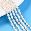 Natural Cultured Freshwater Pearl Beads Strands PEAR-N014-04G-1