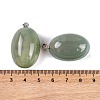 Natural Agate Dyed Pendants G-Q172-07P-04-3