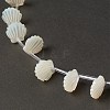 Natural White Shell Mother of Pearl Shell Beads BSHE-B005-07-3