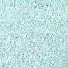 TOHO Round Seed Beads SEED-JPTR08-0170-2