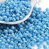 Baking Paint Glass Seed Beads X1-SEED-A032-02G-1