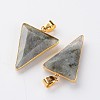 Faceted Triangle Natural Labradorite Big Pendants G-M294-03-2