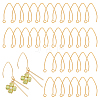 50Pcs Ion Plating(IP) 304 Stainless Steel Earring Hooks STAS-UN0058-58-1