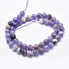 Natural Amethyst Beads Strands G-K256-52-8mm-2