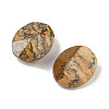 Natural Picture Jasper Cabochons G-C146-02C-2