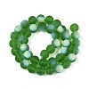 Frosted Transparent Glass Beads Strands LS-GLAA-T032-T10mm-MBB07-2