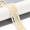 Natural White Shell Beads Strands SSHEL-E571-38A-4mm-2