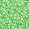 FGB Glass Seed Beads SEED-Q040-08A-09-3