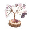 Natural Amethyst Chips Tree of Life Decorations GG-CBAEDF6-01M-2