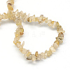 Natural Gold Rutilated Quartz Stone Bead Strands G-R192-A20-2