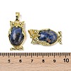 Natural Sodalite Pendant KK-F887-02G-20-3