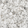 50g Glass Seed Beads SEED-TA0001-67E-3