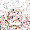 Baking Paint Glass Seed Beads SEED-N007-02A-2
