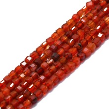 Natural Red Agate Beads Strands G-P457-B01-25