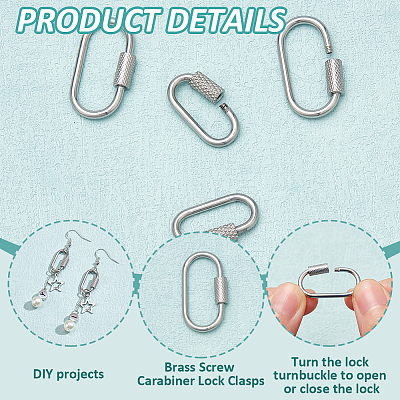 4Pcs 2 Styles 304 Stainless Steel Screw Carabiner Lock Charms STAS-NB0001-85P-1