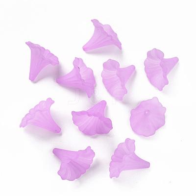 Transparent Acrylic Beads BSF796-C08-1