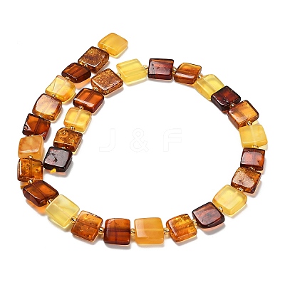 Natural Amber Beads Strands G-C260-A01-02-1