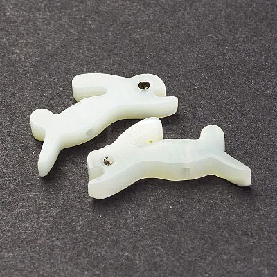 Natural Trochid Shell/Trochus Shell Beads SSHEL-K027-15-1