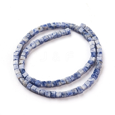 Natural Blue Spot Jasper Beads Strands G-F631-K06-1