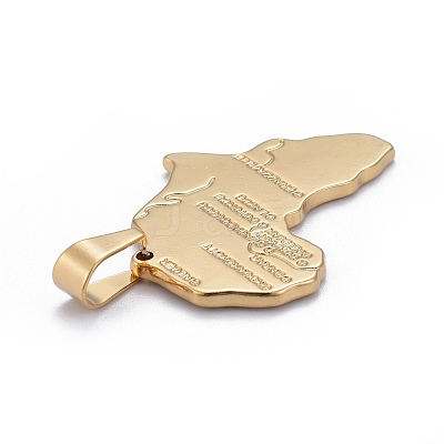 304 Stainless Steel Pendants STAS-F183-03G-1