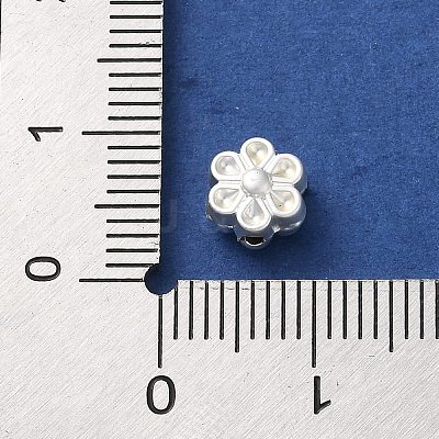 Rack Plating Alloy Beads FIND-C062-06A-S-1