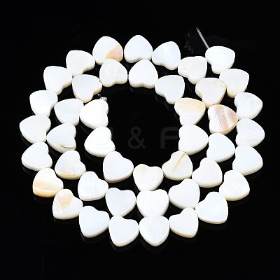 Natural Freshwater Shell Beads Strands X-SHEL-N026-152-1