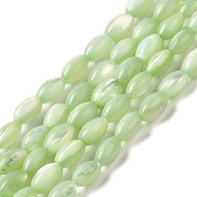 Natural Trochus Shell Beads Strands SHEL-K006-19E-1