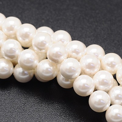 Shell Pearl Beads Strands BSHE-E008-10mm-12-1
