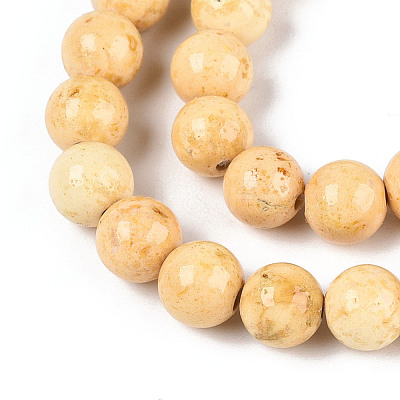 Dyed Synthetic Fossil Beads Strands G-T139-6mm-66B-1