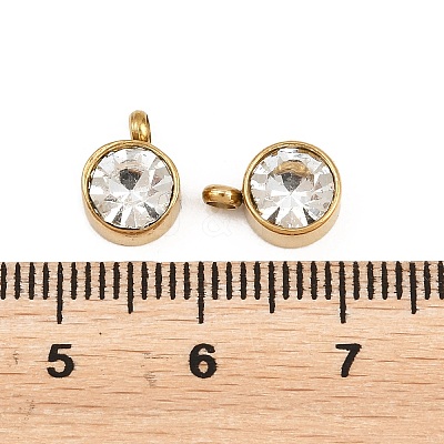 304 Stainless Steel Charms STAS-G118-05G-1