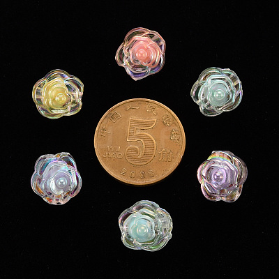 Transparent Acrylic Beads TACR-T024-06B-1