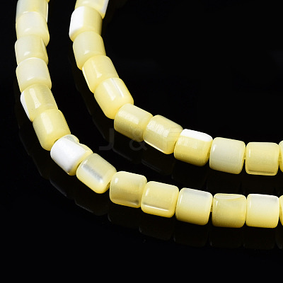 Natural Trochid Shell/Trochus Shell Bead Strands SSHEL-N034-77-C06-1