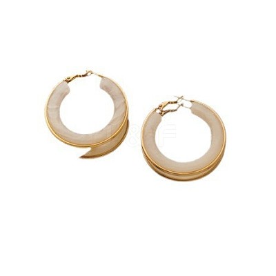 304 Stainless Steel Acrylic Hoop Earrings FS-WG57303-09-1