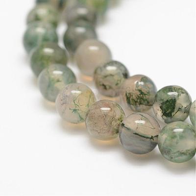 Natural Moss Agate Beads Strands G-F453-6mm-1