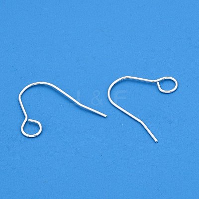 304 Stainless Steel Earring Hooks STAS-B047-31S-1