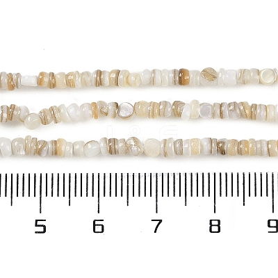 Natural Freshwater Shell Beads Strands BSHE-H109-13A-1