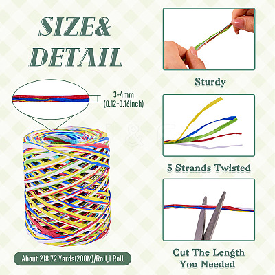 Raffia Ribbon OCOR-TA0004-21B-1