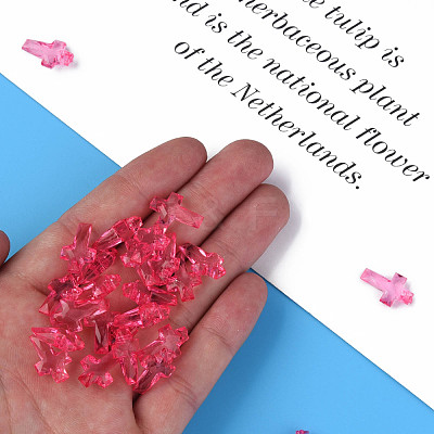 Transparent Acrylic Pendants MACR-S373-130-B04-1