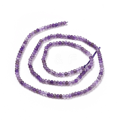 Natural Amethyst Beads Strands G-E194-01-1