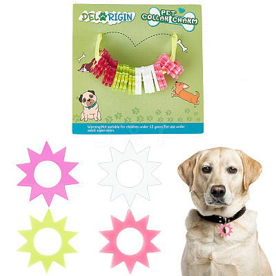 Transparent Blank Acrylic Pet Dog ID Tag PALLOY-AB00041-1
