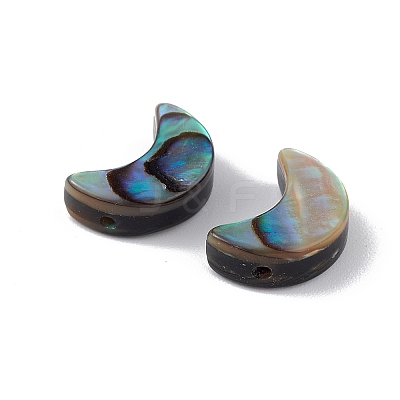 Natural Abalone Shell/Paua Shell Beads SSHEL-M021-05-1