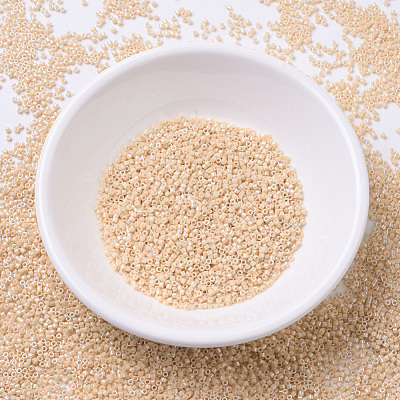 MIYUKI Delica Beads SEED-JP0008-DB0205-1