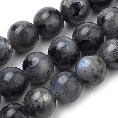 Natural Larvikite Beads Strands G-S259-06-12mm-1