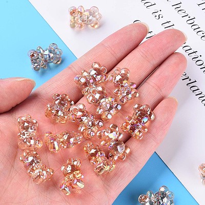 Transparent Acrylic Pendants LS-MACR-S373-113-C06-1