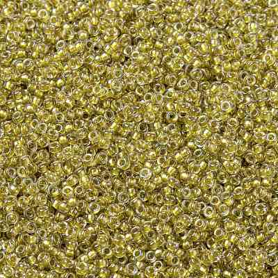 MIYUKI Round Rocailles Beads X-SEED-G009-RR1125-1