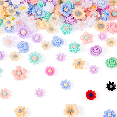 3 Bags Resin Cabochons RESI-TA0003-13B-1
