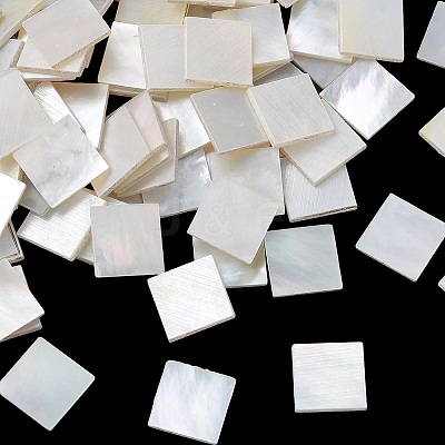 White Shell Cabochons SSHEL-I007-11-1