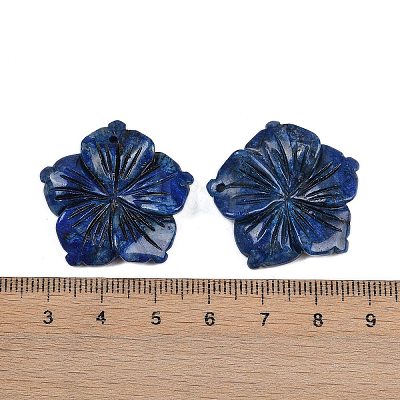 Natural Sodalite Carved Pendants G-B097-01A-04-1