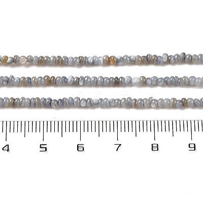 Natural Freshwater Shell Beads Strands SHEL-P017-01A-13-1