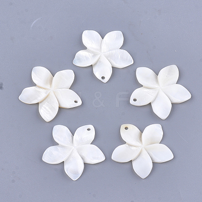 Carved Freshwater Shell Pendants SHEL-T012-54-1